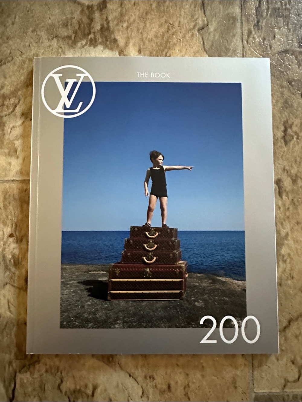 Louis Vuitton Book 200 - Silver & Blue Cover